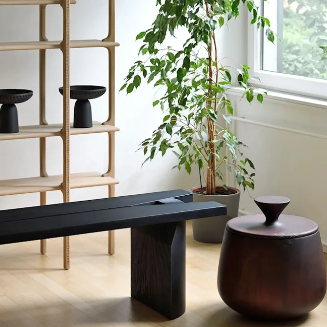 Morpho Bench
