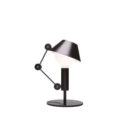 Mr. Light Short