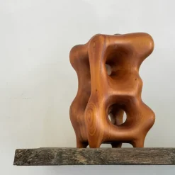 Natural Organic Sculpture