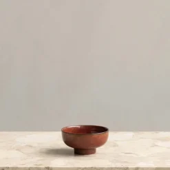 New Norm skål til fots