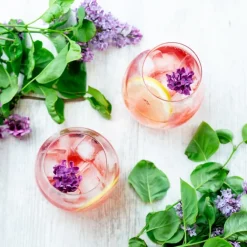 O Wine Gin & Tonic-sett 4-Pack