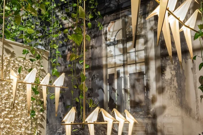 Perch Light Branch