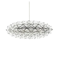 Raimond II Zafu 75