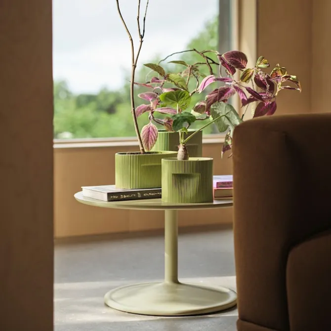 Ridge planter 13cm