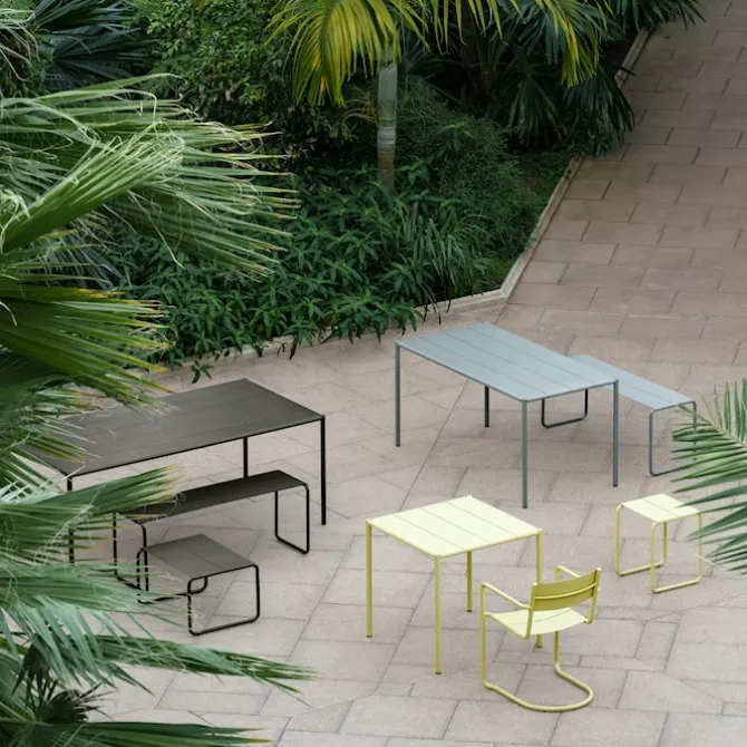 Sine Dining Chair