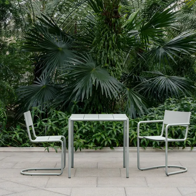 Sine Dining Chair