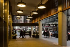 Soho C Fixed Stem Outdoor - Pendant Lamp