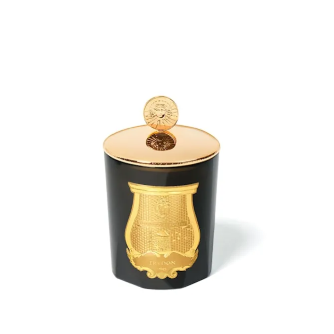 Solix Rex Topper Candle Topper