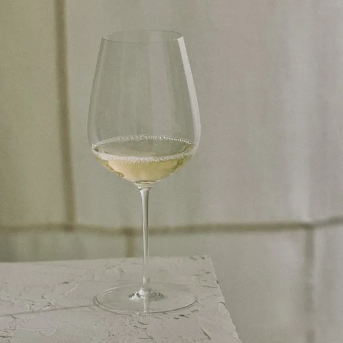 Steel Vinglass 45 cl