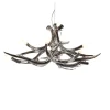 Superordinate Chandelier 6 Antlers