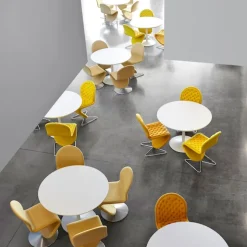 System 1-2-3 Dining Deluxe