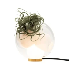 Table Light 38Vt