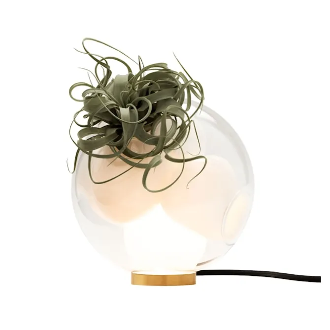 Table Light 38Vt