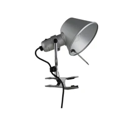 Tolomeo Pinza