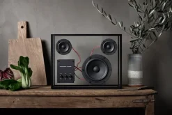 Transparent Speaker Red Cables