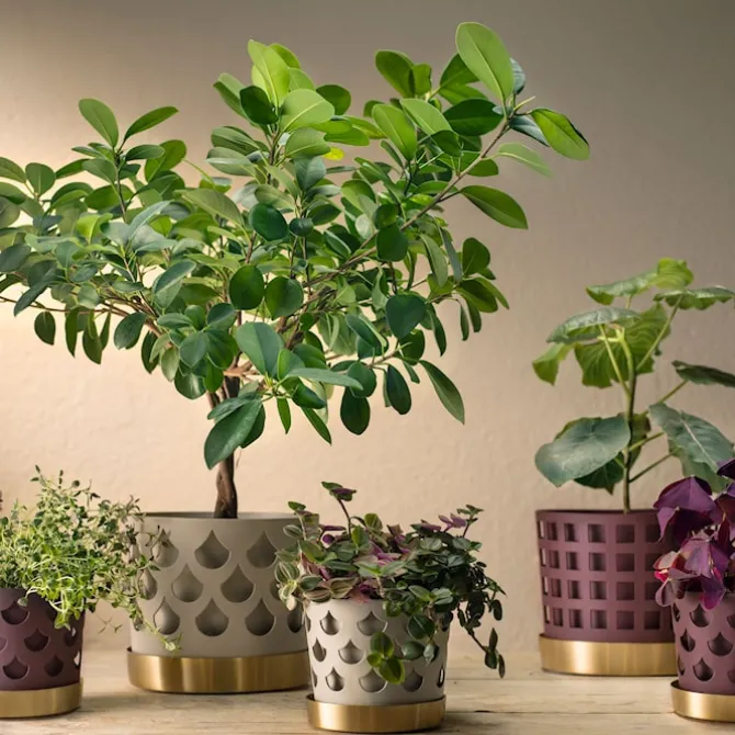 Trio Flower Pot Drop - Beige
