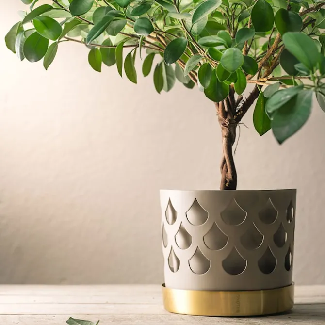 Trio Flower Pot Drop - Beige