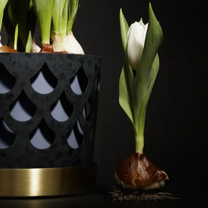 Trio Flower Pot Drop - Gråblå