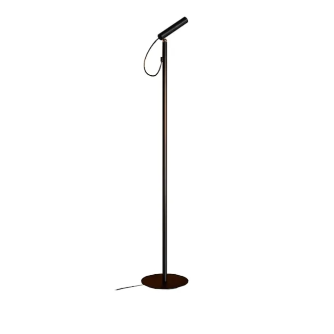 Type Decorative Floor Lamp