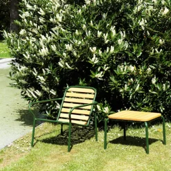 Vig Lounge Chair Robinia