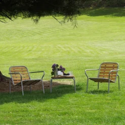 Vig Lounge Chair Robinia