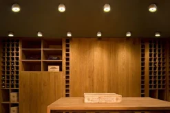 Wan Ceiling/Wall