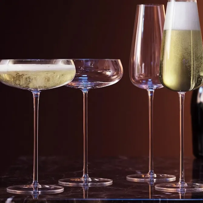 Wine Culture Champagne Saucer - Set of 2